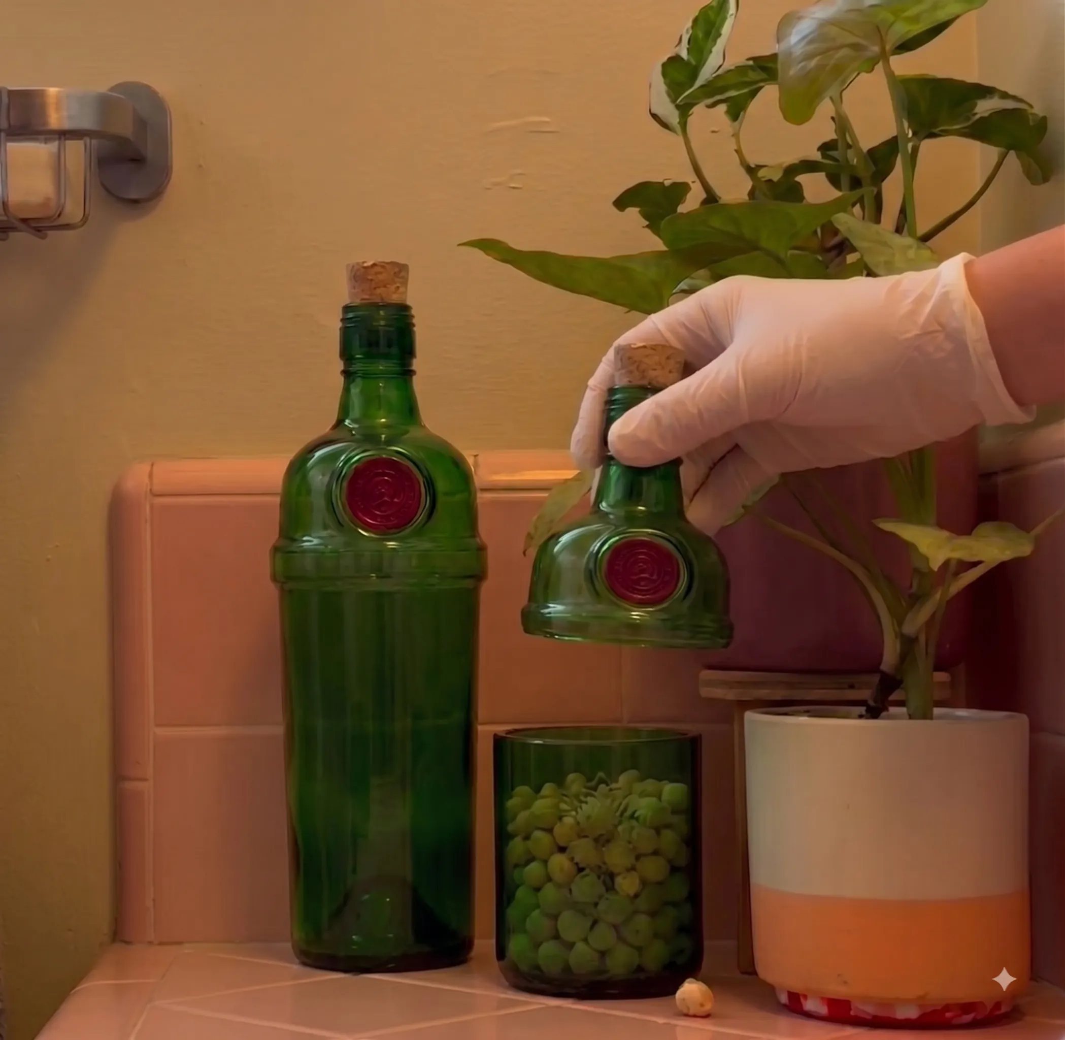 TANQUERAY